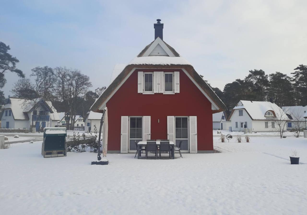 Modernes Reetdach-Ostseeferienhaus Bella Mare, Insel Usedom Mit Sauna, Kamin & Sonnenterrasse Zirchow Exterior foto